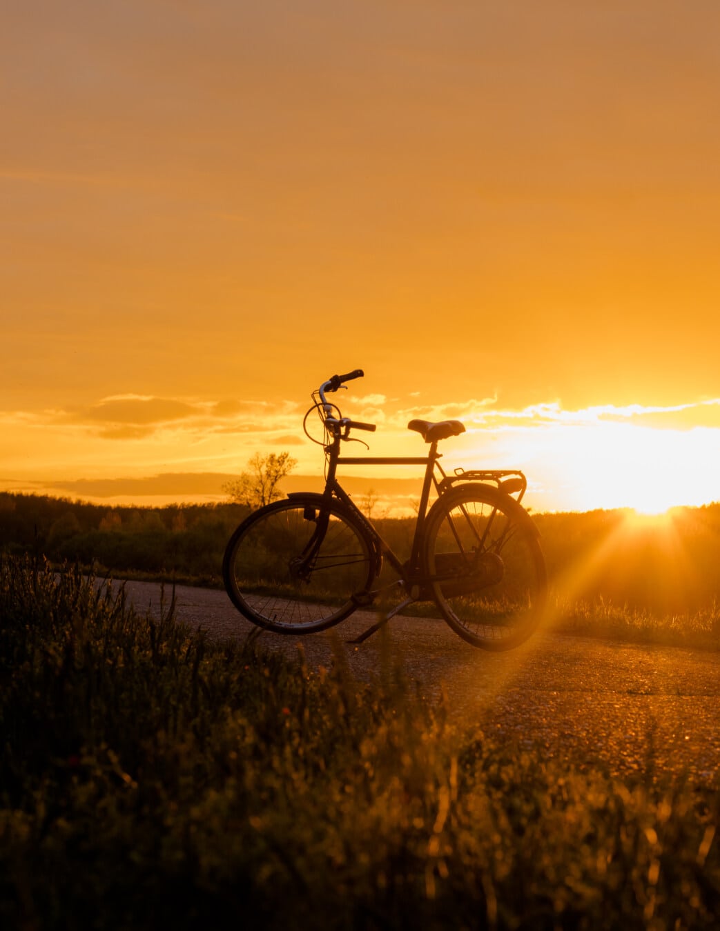sunrays, sunset, backlight, bicycle, silhouette, afternoon, landscape, dawn, sun, bike