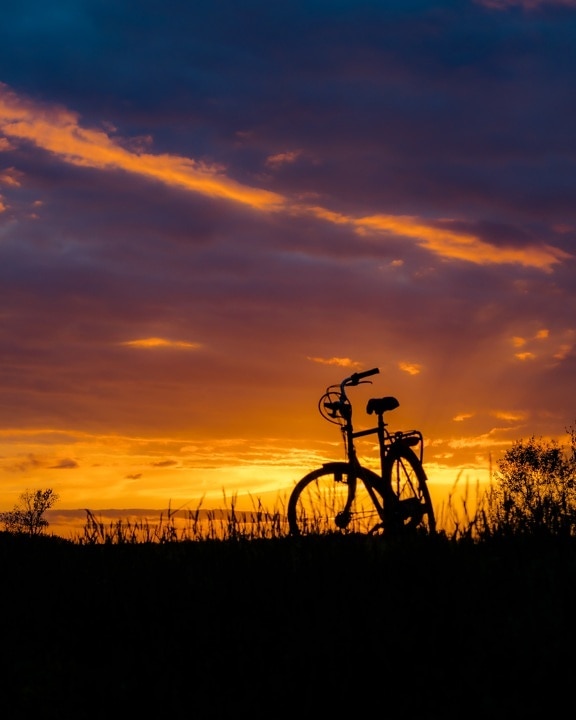 silhouette, bicycle, dusk, backlight, sunlight, orange yellow, sunset, sun, landscape, dawn