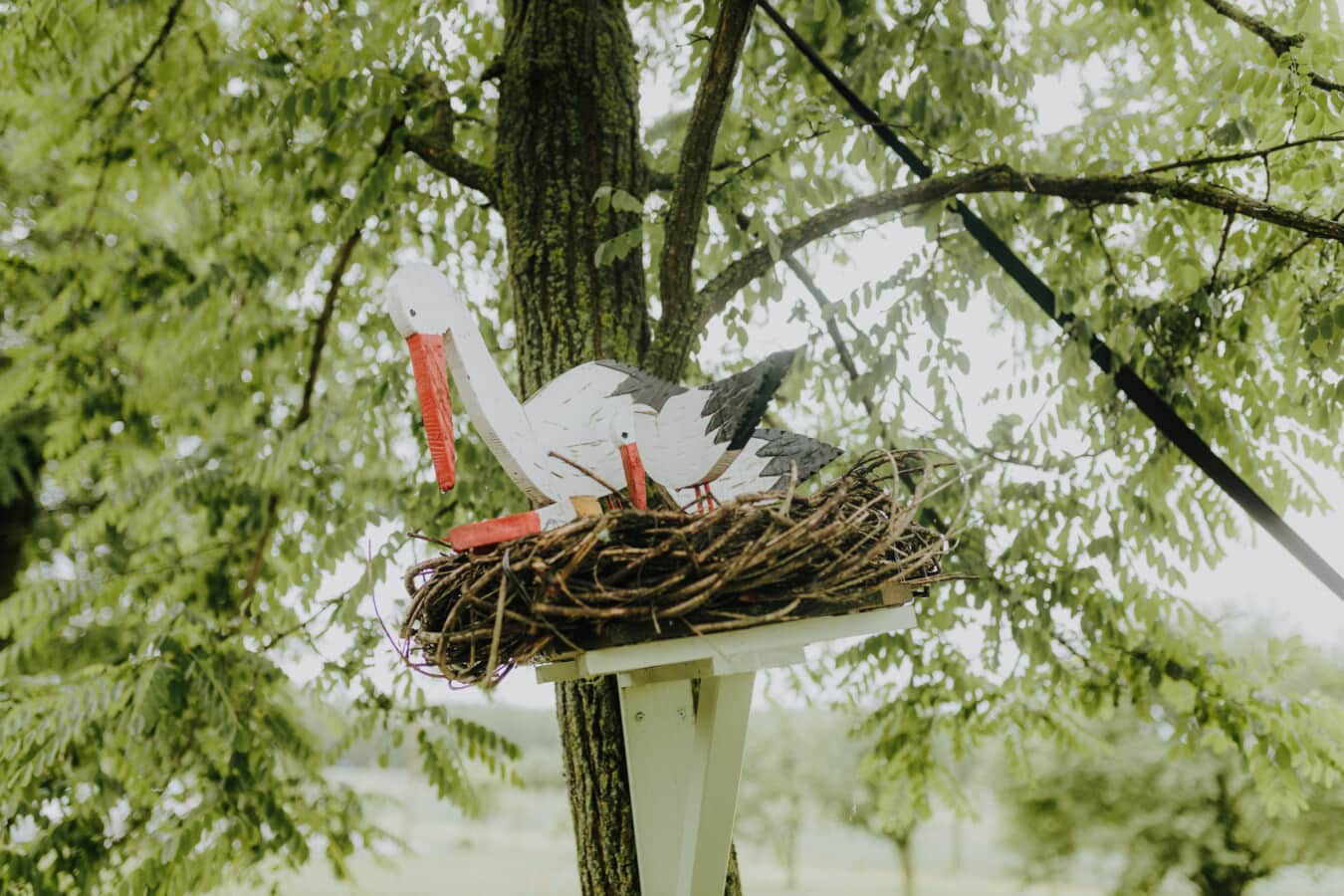 white stork, wooden, nest, decoration, tree, nature, outdoors, leaf, garden, park