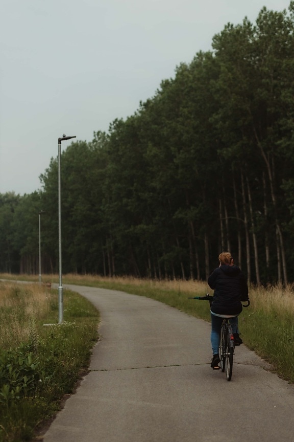 ciclista, mulher, andar de bicicleta, estrada, gozo, recreação, floresta, árvore, paisagem, ao ar livre