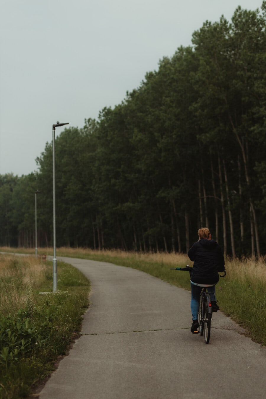 cyclist, woman, bicycling, road, enjoyment, recreation, forest, tree, landscape, outdoors