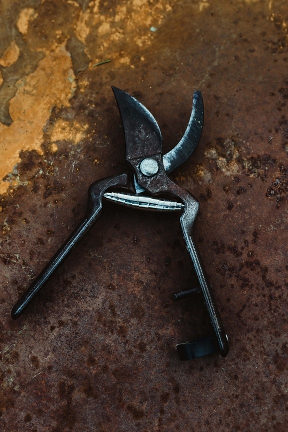 kliješta, ručni alat, metal, lijevano željezo, limarija, staro, hrđe, alat, čelik, prljavo