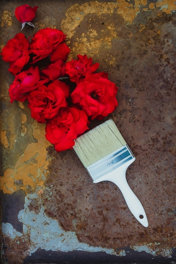 white, paintbrush, hand tool, dark red, roses, flowers, dirty, metal, rust, brush