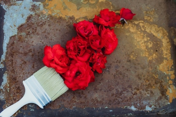 dark red, roses, paintbrush, dirty, metal, iron, rust, petal, flower, rose