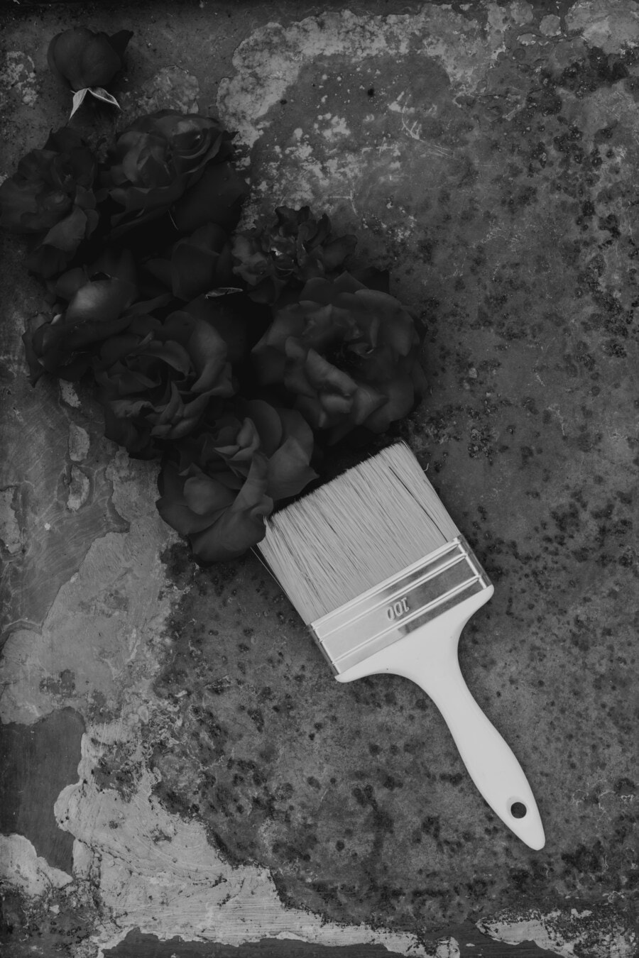 branco, escova, ferramenta de mão, preto e branco, pincel, ferramenta, textura, retrô, sujo, poeira