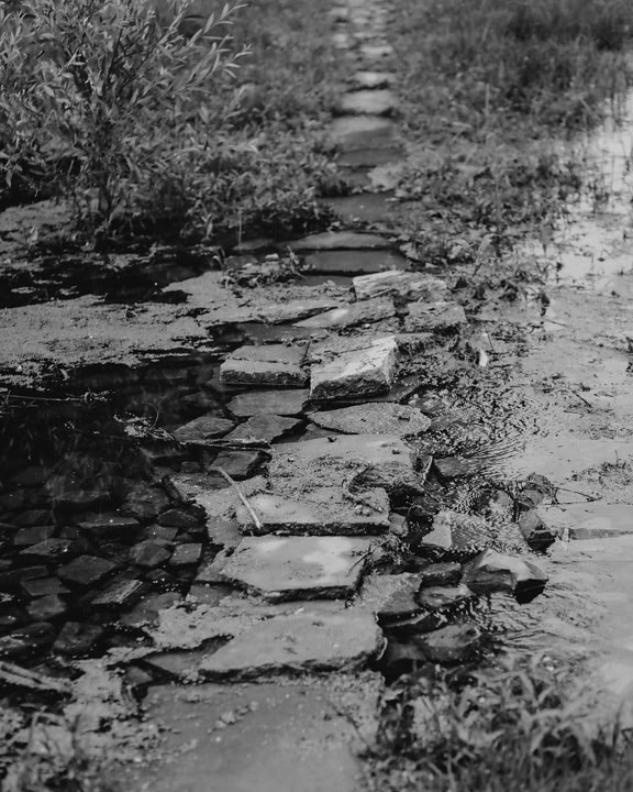 black and white, rocky river, stream, crossing over, barrier, water, stone, nature, rock, outdoors