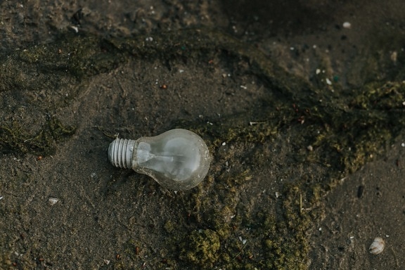 light bulb, dirty, garbage, wet, pollution, mud, waste, ground, glass, outdoor