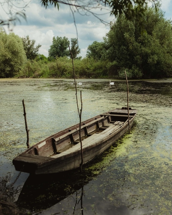 barco, velho estilo, de madeira, abandonado, canal, pântano, água, rio, casa de barcos, natureza