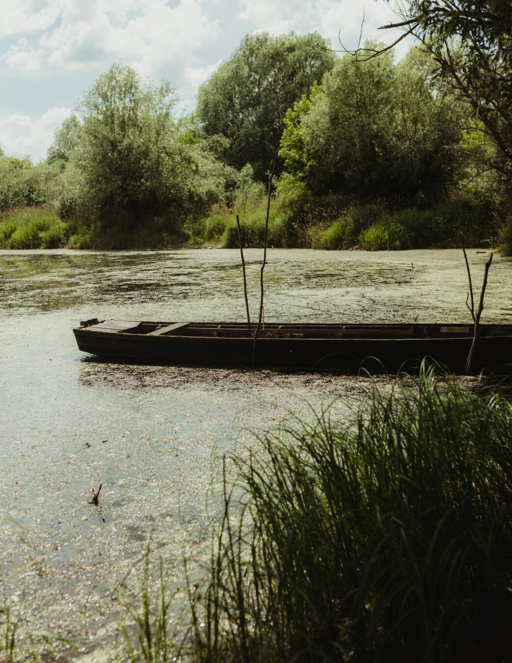 boat, wooden, old, channel, aquatic plant, water, river, landscape, nature, reflection