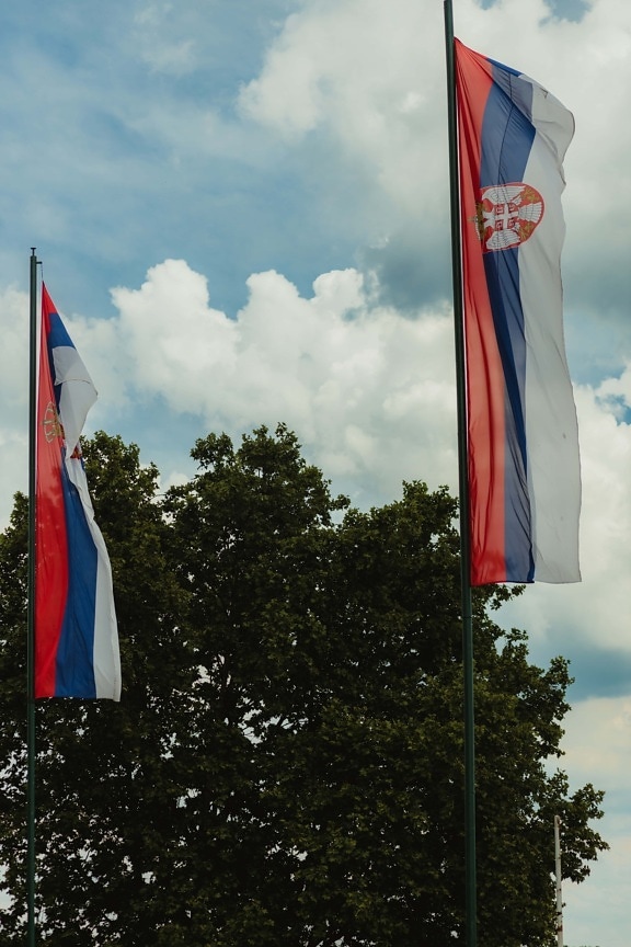 vertical, tricolor, drapeau, Serbie, démocratie, république démocratique, vent, pôle, patriotisme, bâton