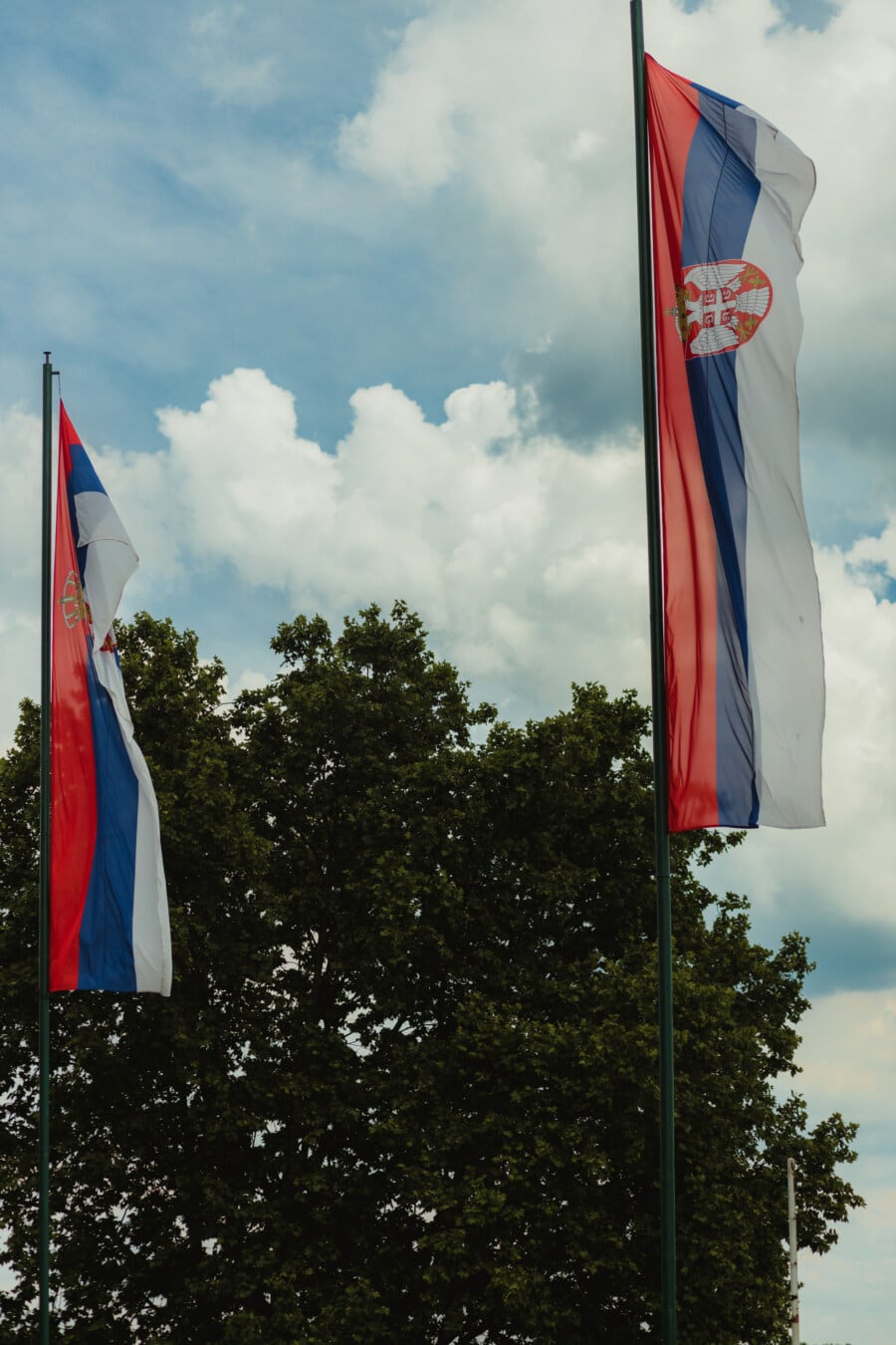 loddrett, tricolor, flagg, Serbia, demokrati, demokratiske republikk, vind, Pole, patriotisme, Stick