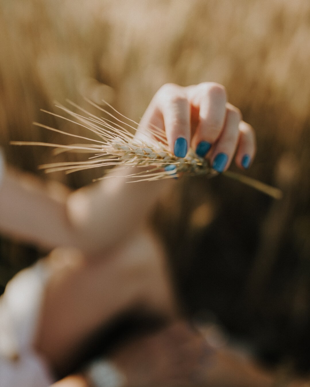 djevojka, ruka, pšenica, drži, prst, lak za nokte, žena, zamagliti, drvo, na otvorenom