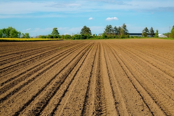 üres, sík mező, talaj, mezőgazdaság, Föld, gazdálkodás, termőföld, vidéki, mező, táj