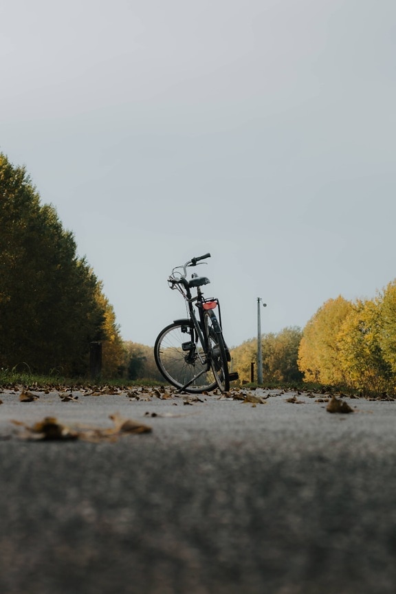 classic, bicycle, old fashioned, asphalt, road, dry, leaves, vehicle, outdoors, landscape