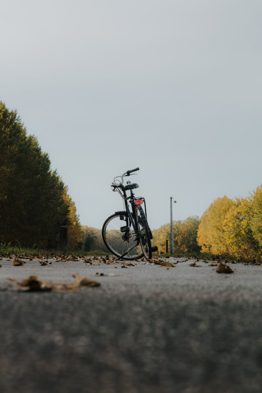 klasično, bicikl, starinski, asfalt, cesta, suho, lišće, vozila, na otvorenom, krajolik