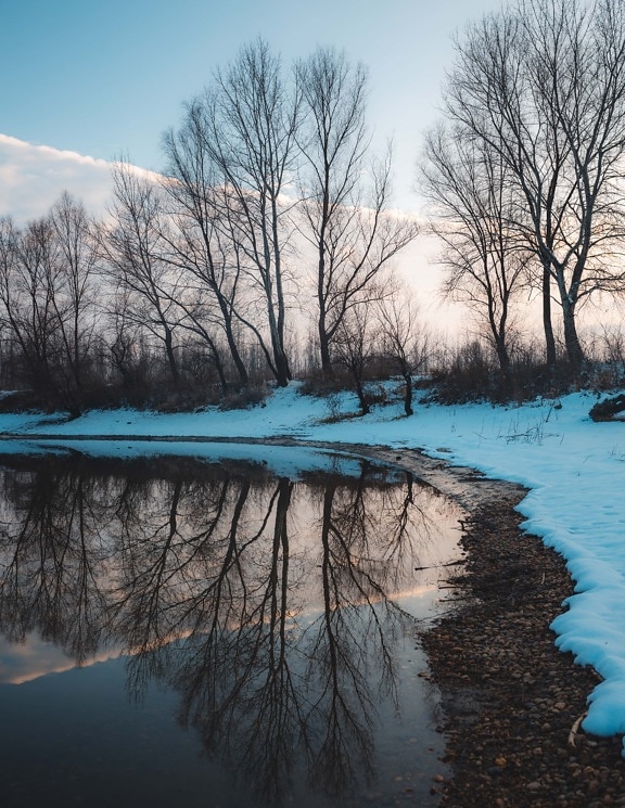winter, snowy, lakeside, reflection, calm, landscape, water, cold, wood, frost