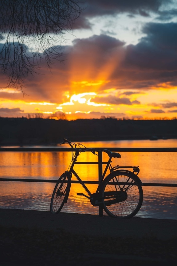 solnedgang, orange gul, dramatiske, ved søen, cykel, silhuet, skygge, daggry, solen, skumring
