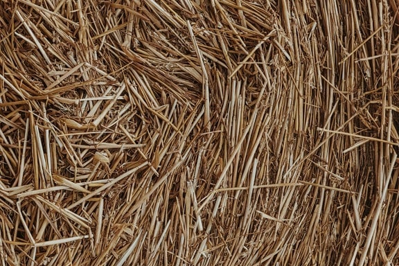 straw, textile, close-up, hay, haystack, bale, rural, dry, nature, stacks