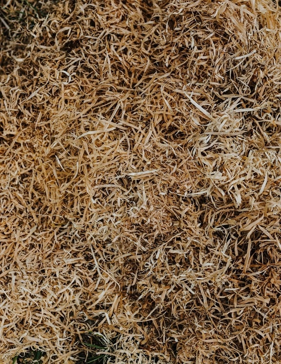 sawdust, dry, textile, rough, dirty, details, pile, stacks, hardwood, straw