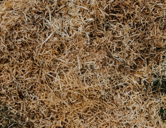 textile, sawdust, detail, close-up, pile, dry, texture, upclose, brown, light brown