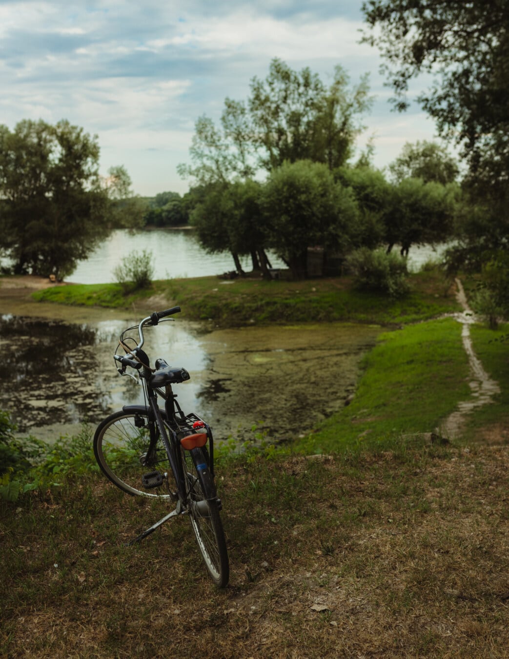 cykel, klassisk, utomhus, sjön, träsket, sommar, dammen, vildmarken, spår, Utomhus