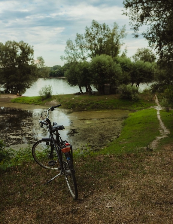 biciclette, classico, all'aperto, lago, palude, estate, stagno, natura selvaggia, sentiero, tempo libero