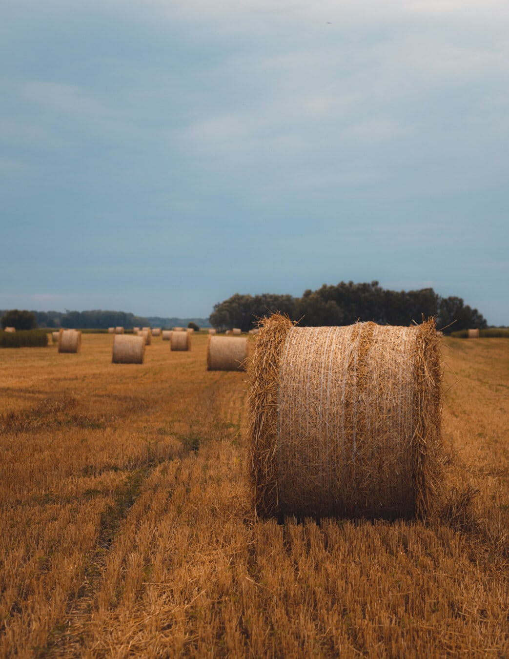 haystack, round, bale, flat field, packages, summer season, agriculture, field, hay, straw