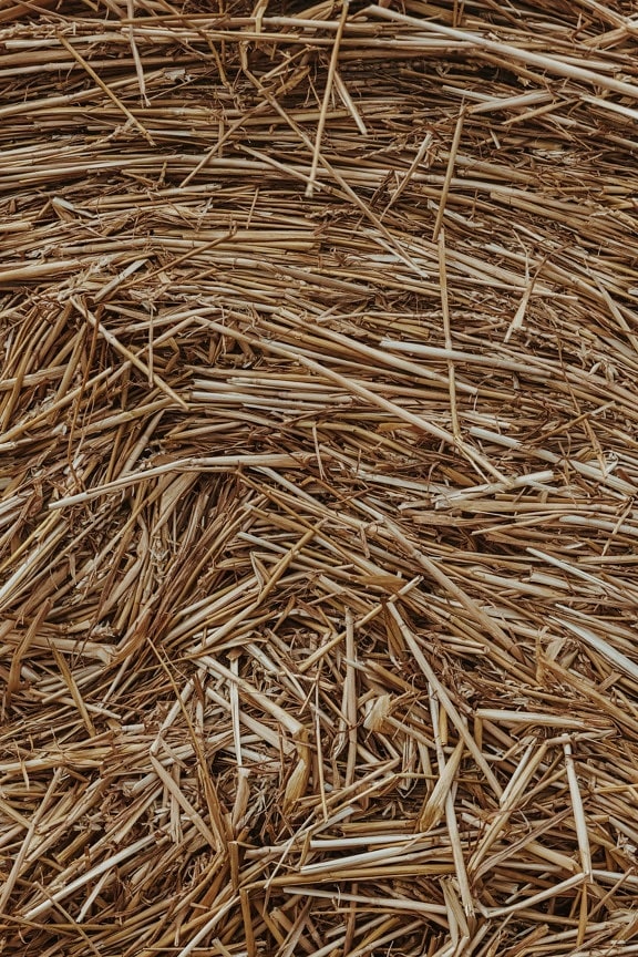 wheat, haystack, texture, bale, dry, brown, close-up, straw, rural, feed