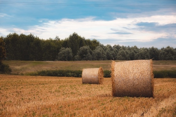 Bale, tumpukan, ladang gandum, panen, bidang pertanian datar, pedesaan, putaran, pertanian, gandum, pedesaan