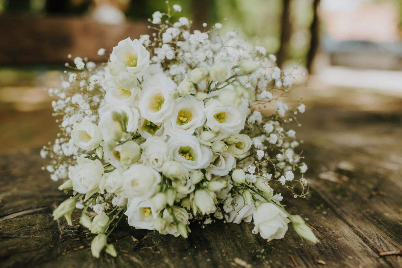 bukiet, piękne, biały kwiat, róże, romantyczny, martwa natura, elegancja, fantazyjne, kwiat, ślub