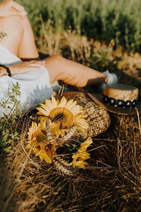 mulher jovem, sentado, plantas da grama, relaxamento, zona rural, chapéu, girassol, cesta de vime, natureza, mulher