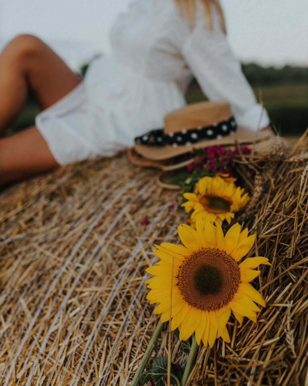 pretty girl, laying on, haystack, sunflower, nature, outdoors, summer, woman, rural, fair weather