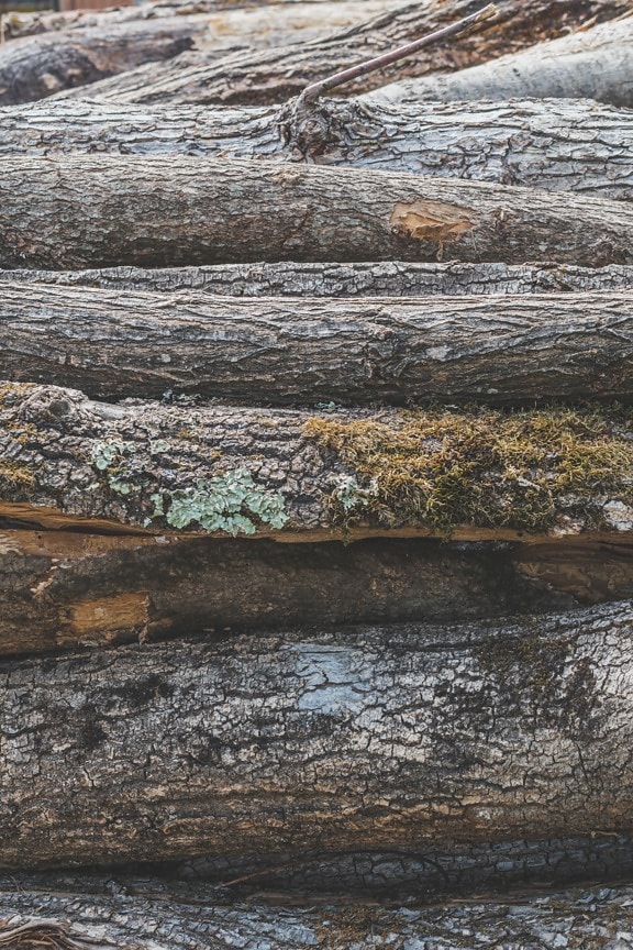 tree, tree trunk, stacks, logging, firewood, pile, wood, dry, texture, surface