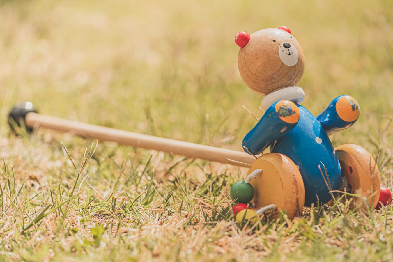 colorful, wooden, bear, toy, handmade, carpentry, grass, field, fun, outdoors