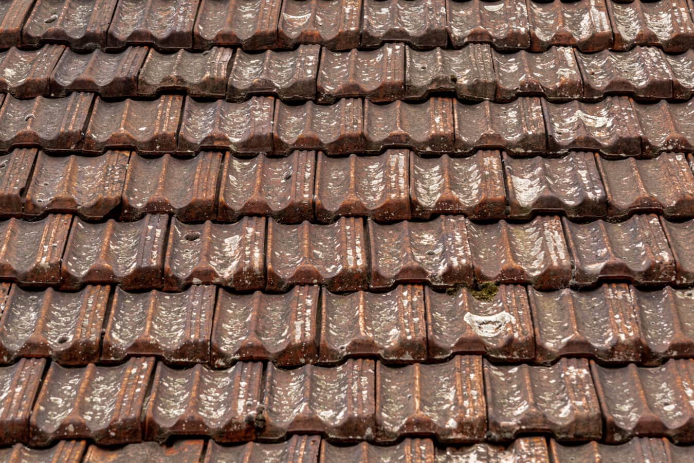 ceramiczne, na dachu, zwykłe, pokrycia dachowe, dachu, brudne, Próchnica, stary, projekt, tekstury