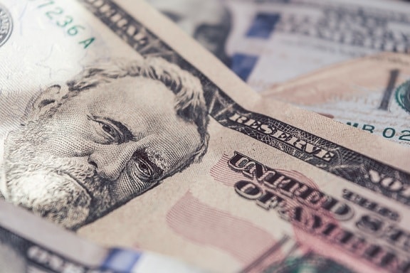 american dollar, income, value, inflation, finance, cash, savings, 50$ dollar bill, Hiram Ulysses Grant