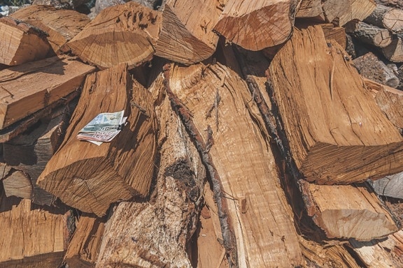 lemn de foc, Pret, dinar sârbesc, inflaţia, bani, lemn de esenta tare, cumpărare, uscat, lemn, bani de hârtie