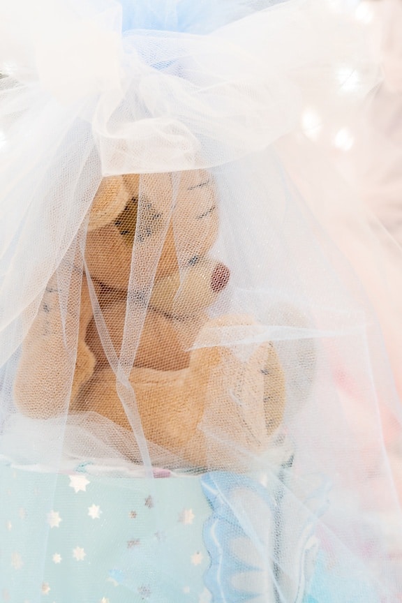 teddy bear toy, underneath veil, elegant, beautiful, luxury, bright, decoration, gift, light brown