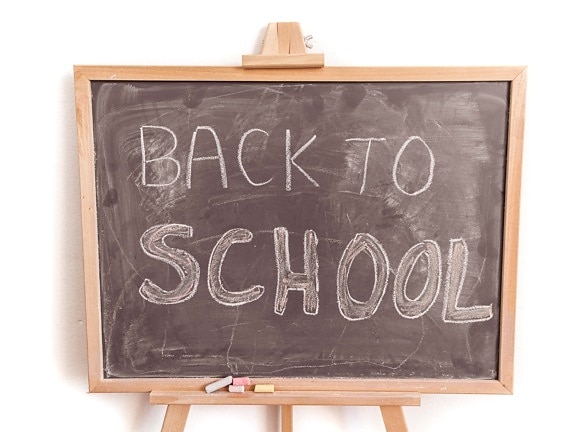 school board, blackboard, education, educational program, chalk, text, vintage, school, class, writing