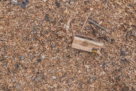 wood, sawdust, chunk, dry, texture, nature, ground, pattern, pile, dirty