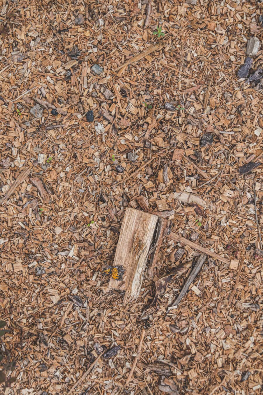 chunk, sawdust, wood splitting, dry, ground, compost, texture, pile, industry, pattern