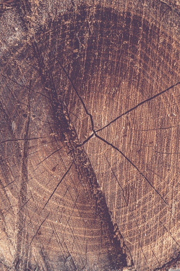 断面, 木の幹, 木材, 結び目, 茶色, 間近, テクスチャ, パターン, 自然, 古い