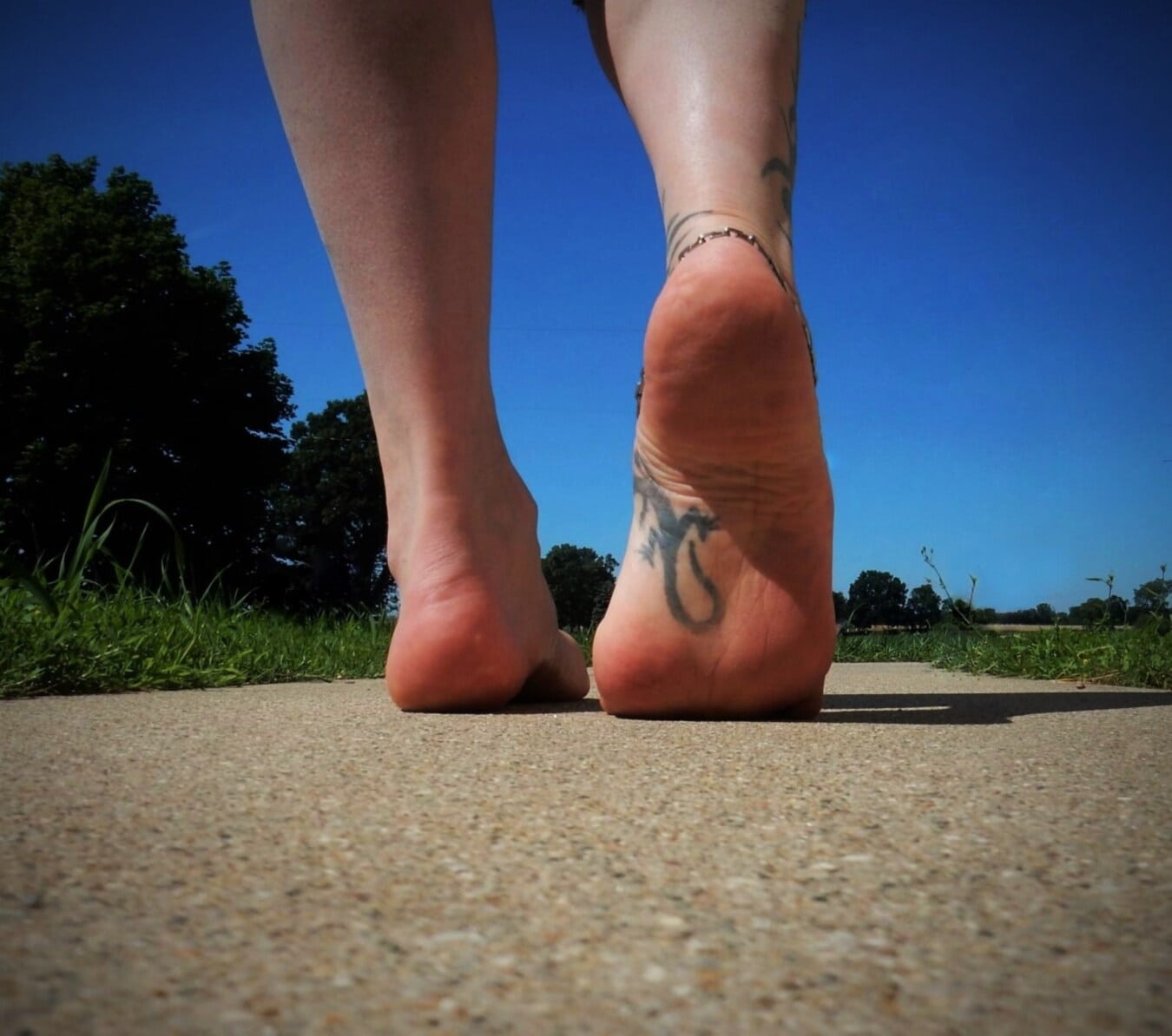 tattoo, lizard, feet, barefoot, walking, asphalt, foot, walk, legs, close-up