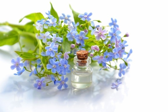 eterisk olje, aromaterapi, parfyme, naturlig, aromatiske, blomster, aroma, flaske, kosmetikk, blå