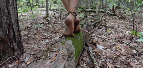 ground, tree trunk, forest, barefoot, balance, walking, tattoo, skin, tree, foot