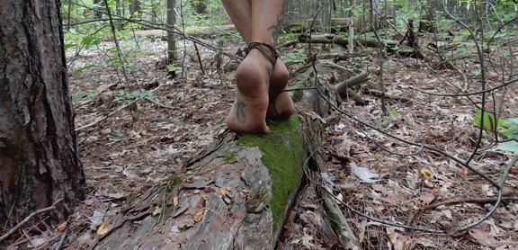 maahan, puun runko, metsä, paljain jaloin, tasapaino, kävely, tatuointi, iho, puu, jalka