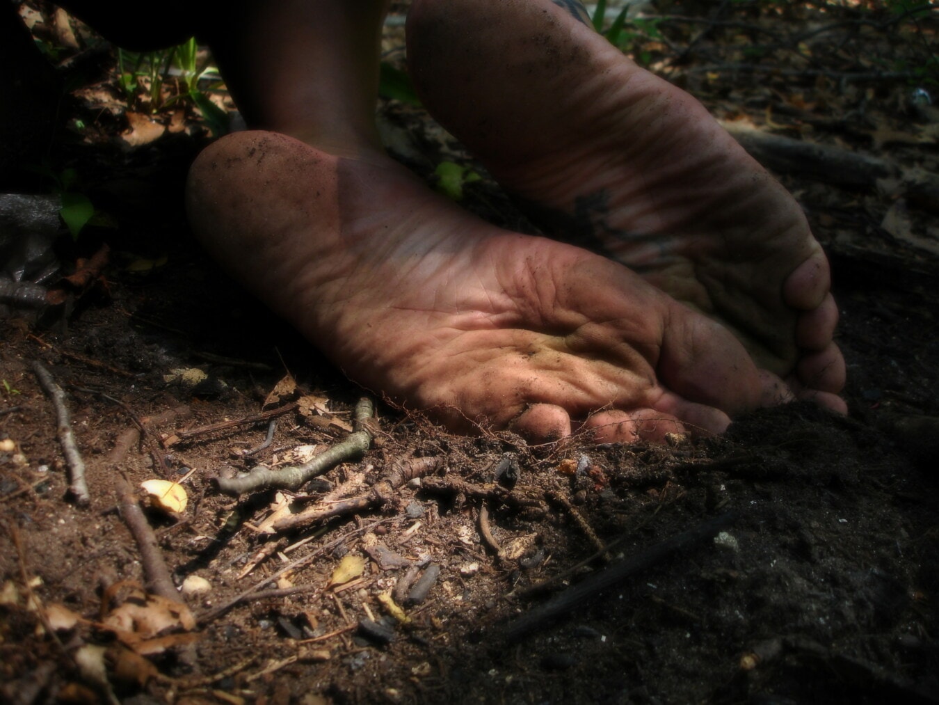 caucasien, pieds nus, racines, sale, pieds, écureuil terrestre, sol, sol, saleté, pied