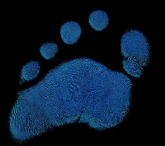 impressão digital, com os pés descalços, ponta do dedo, pés, azul escuro, passo, cor, textura, pé, dedo do pé