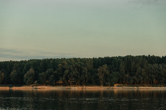 水位, 河, 冷静, 多瑙河, 夏季, 下午, 黎明, 景观, 水, 岸