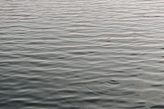 リップル, 水, 穏やかな, 波, 地平線, 表面, テクスチャ, 波, 抽象的な, パターン